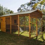 Durable Cat Enclosures For Backyard