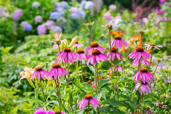 Easy Growing Garden Perennials