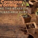 Eco-conscious Gardening Pot Solutions