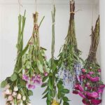 Effective Techniques For Drying Flowers