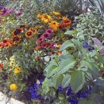 Environmentally Friendly Garden Plants