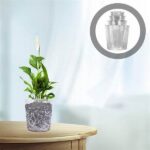 Environmentally Safe Floral Containers