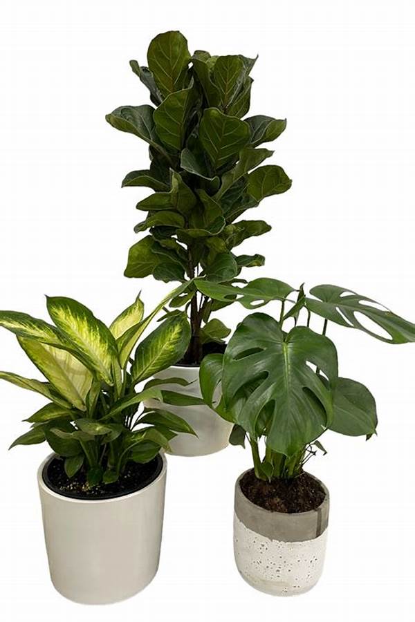 Evergreen Indoor Floral Design