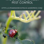 Flower Garden Pest Control Tips