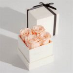 Gift-ready Preserved Roses Collection