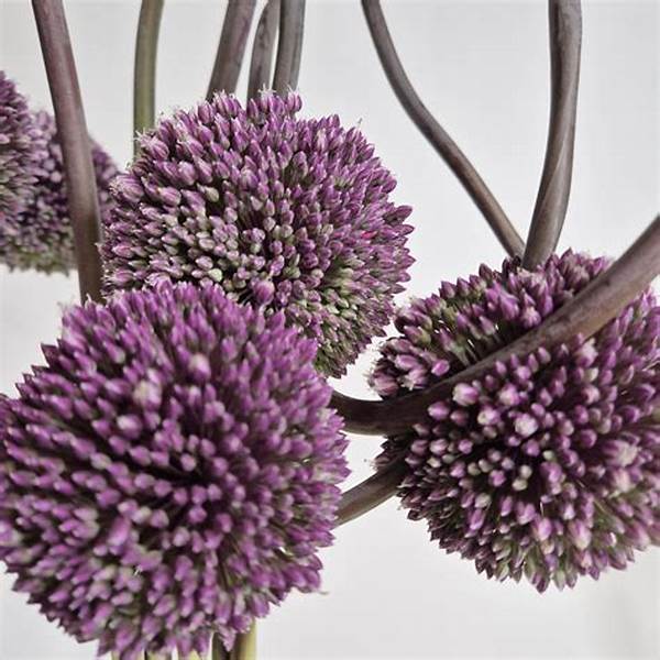 Green-certified Floral Sourcing Firms