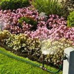 Guidelines For Proper Flowerbed Watering