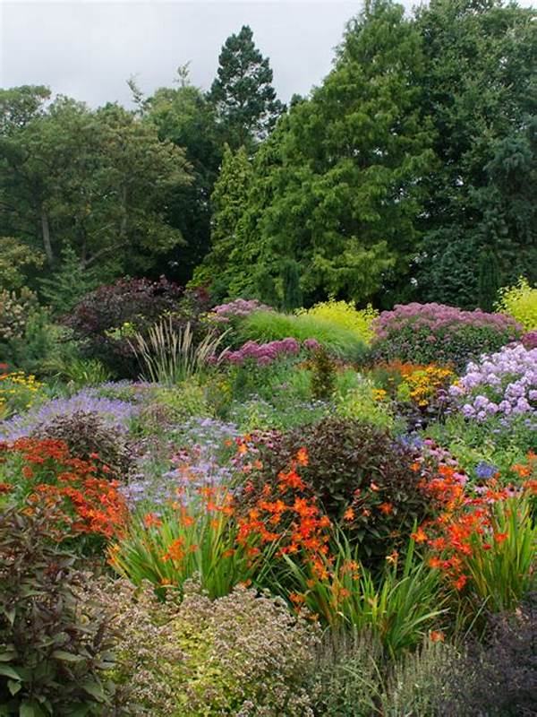 Hardy Perennials For Vibrant Gardens