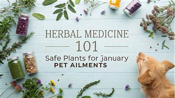 Herbal Remedies For Pets’ Wellbeing