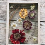Home Decor Using Dried Petals