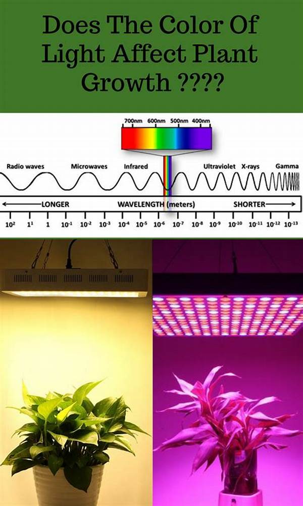 Impact Of Light On Plant Growth