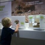 Interactive Nature Learning For Kids