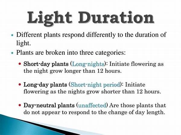 Light Duration And Plant Blooming