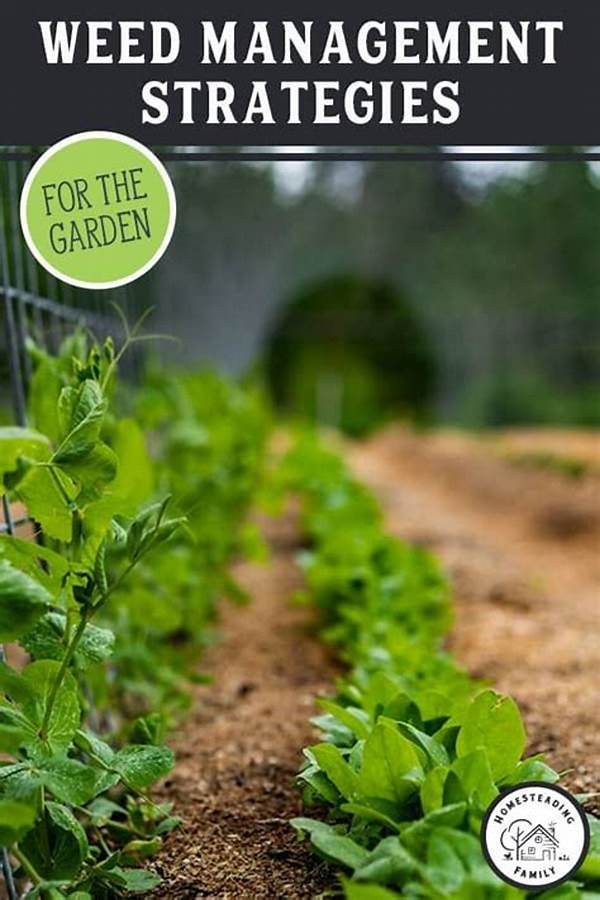 Low-impact Techniques For Managing Weeds