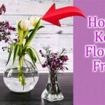 Methods To Prolong Flower Freshness