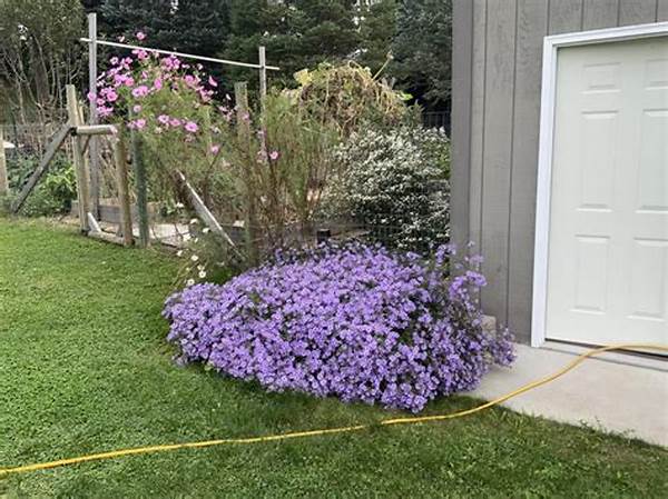 Most Aromatic Blooming Plants