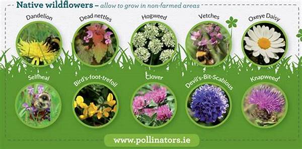 Native Wildflowers For Pollinators