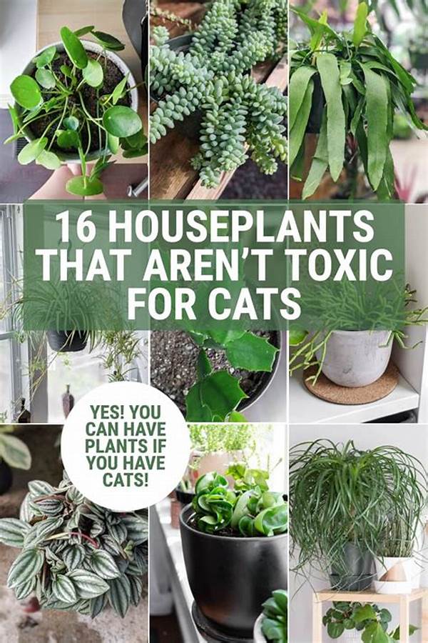 Non-toxic Houseplants For Cats