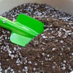 Nutrient-rich Soil For Better Blooms