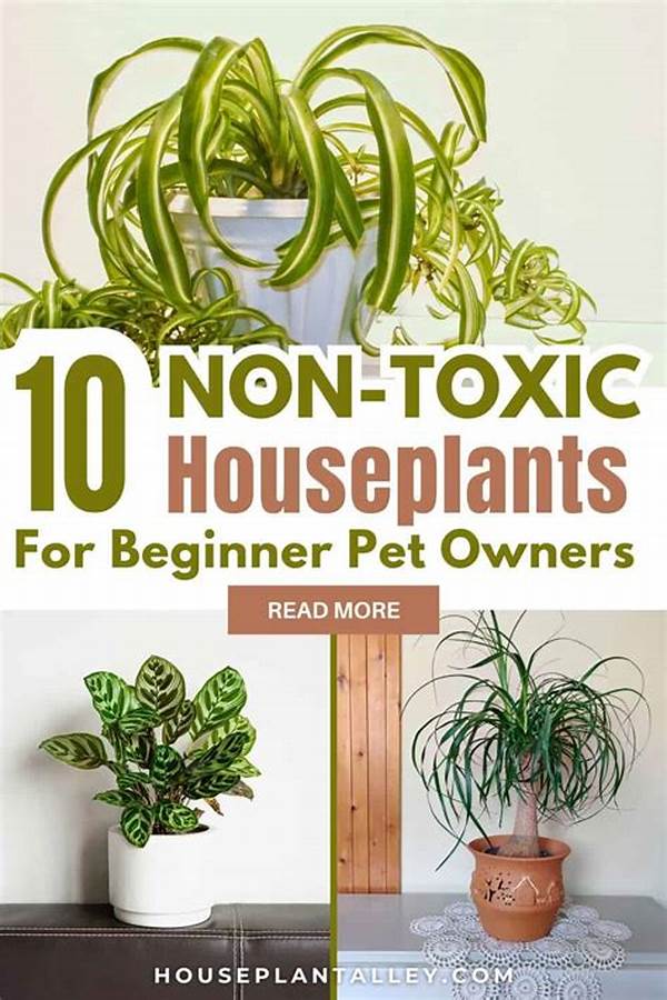 Pet And Child-safe Houseplant Varieties