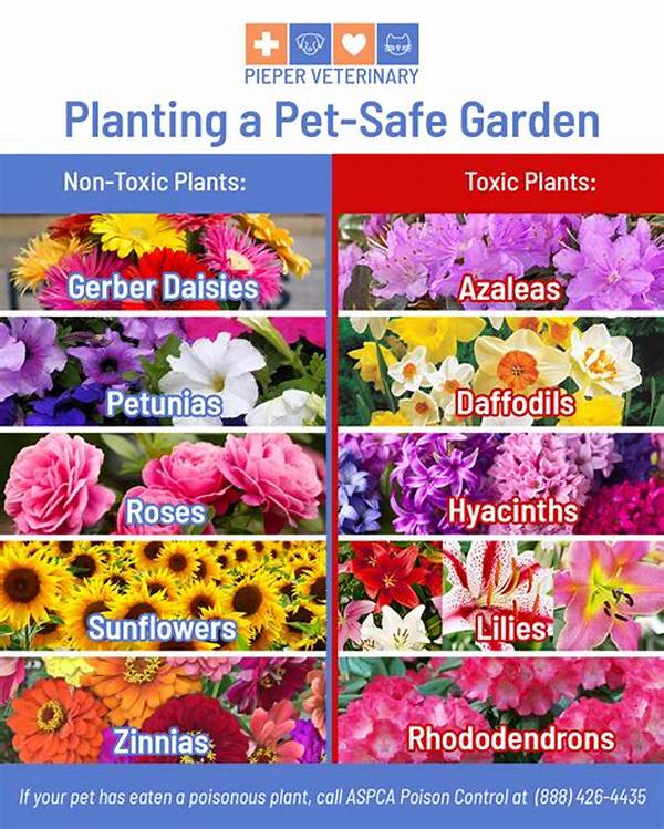 Pet-safe Flowers For Gardens