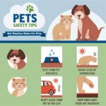 Pet Safety Around Houseplants