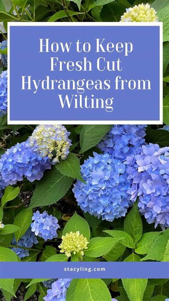 Prevent Wilting In Cut Flowers