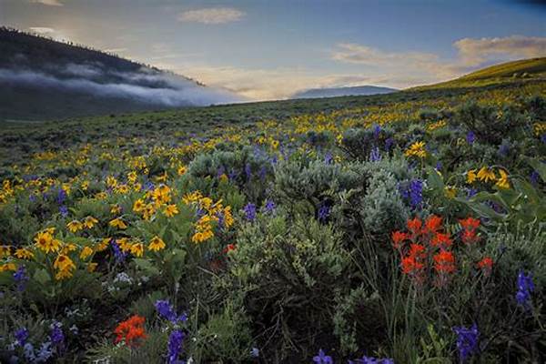 **protection Strategies For Wildflower Environments**