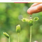 Quick And Simple Plant Care Solutions