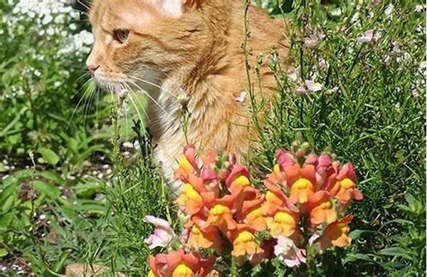 “safe Blooms Around Cats”