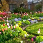 Seasonal Flower Garden Design