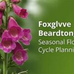 Seasonal Flowering Plant Nutrition Advice
