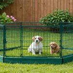 Secure Outdoor Spaces For Pets