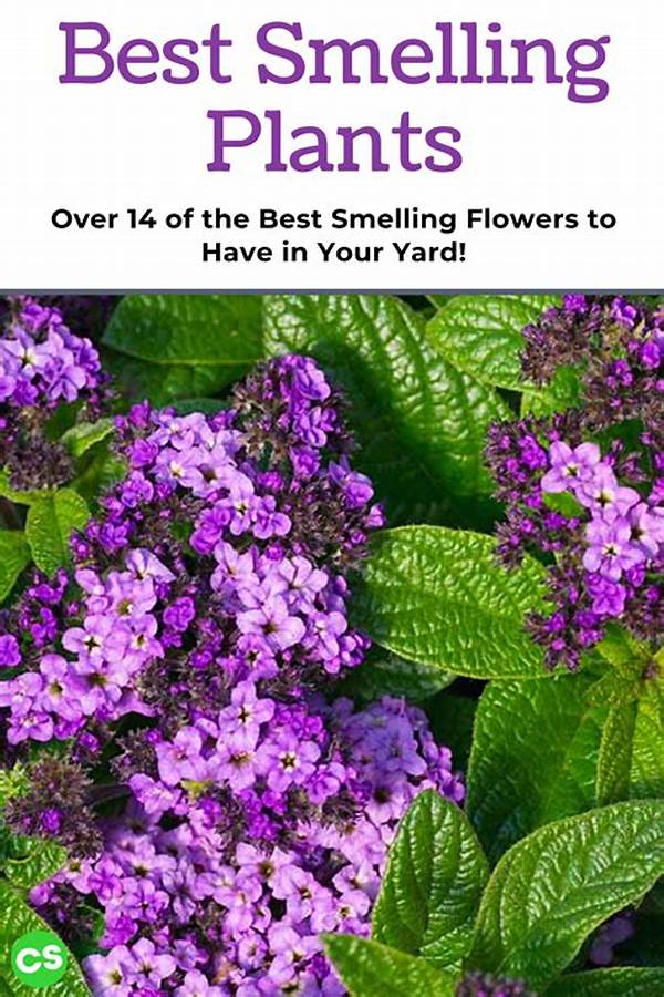 Selecting Sweet-smelling Plants For Garden