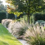 “simple Maintenance Blossoms For Gardens”