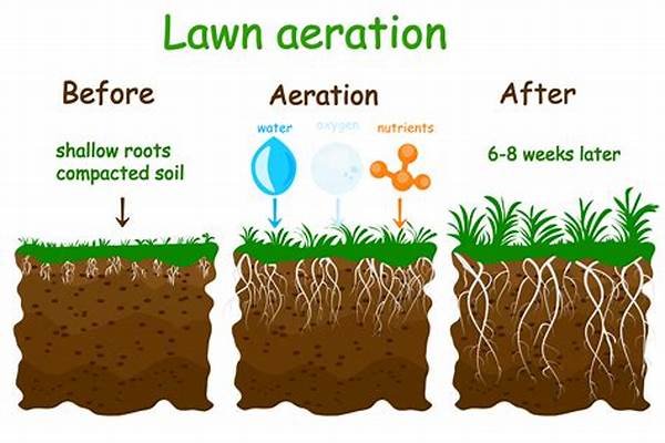 Soil Aeration Benefits Flowers