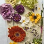Steps For Preserving Fresh Flowers