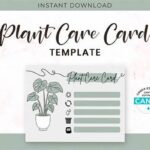 Stress-free Plant Care Options