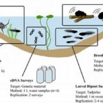 “survey Techniques For Wildflower Monitoring”