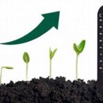Temperature Effects On Plant Growth