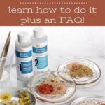 Tools For Preserving Dried Flowers