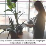 Using Temperature To Maintain Blooms