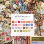 **wildflower Color And Shape Guide**
