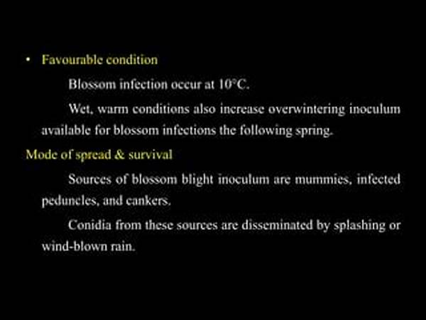 Wind Conditions And Blossom Survival