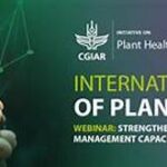 Year-round Plant Health Management