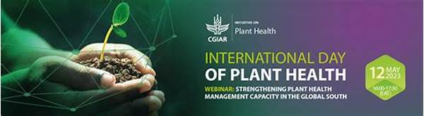 Year-round Plant Health Management