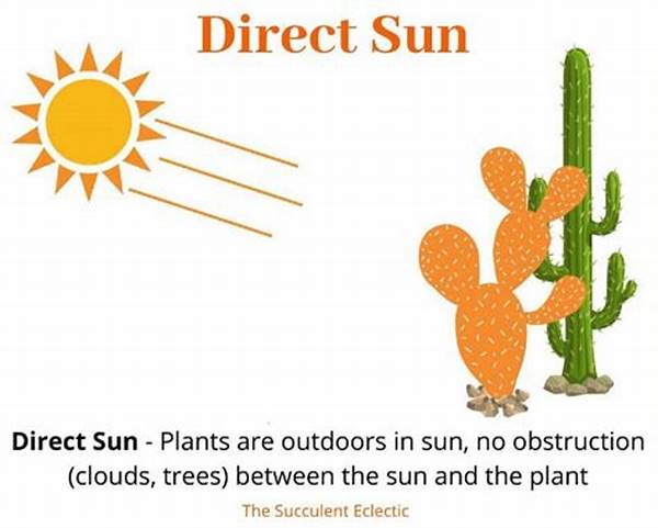 Avoiding Direct Sunlight Exposure
