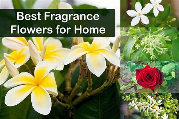 Best Fragrance Plants For Outdoors