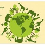 Biodiversity And Habitat Preservation