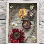 Dried Flower Art Projects